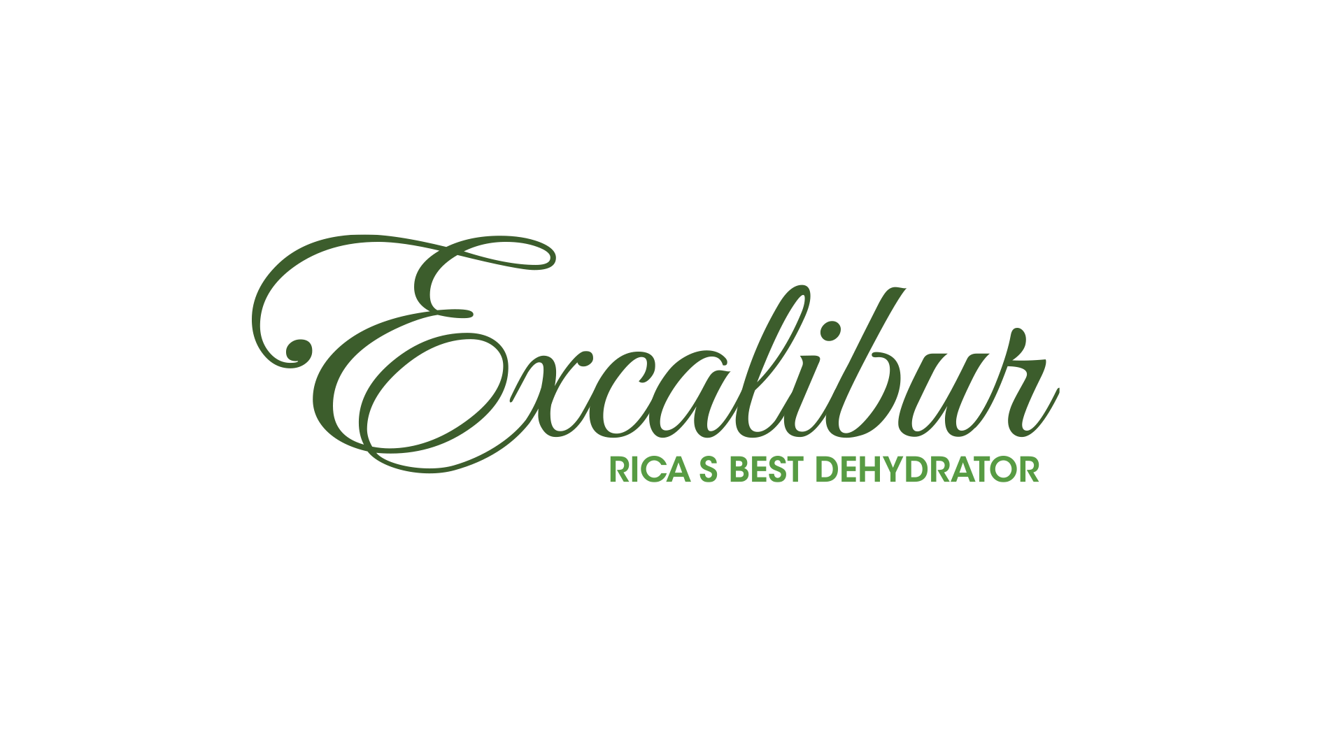 Excalibur Food Dehydrators